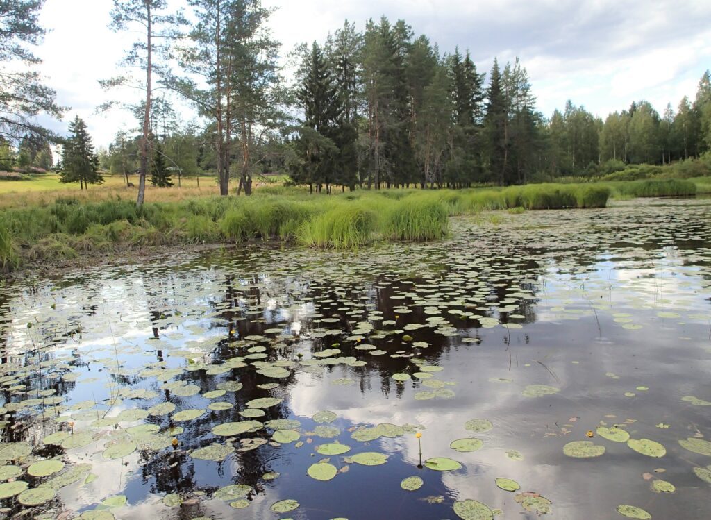 pohjinlahti_fcg